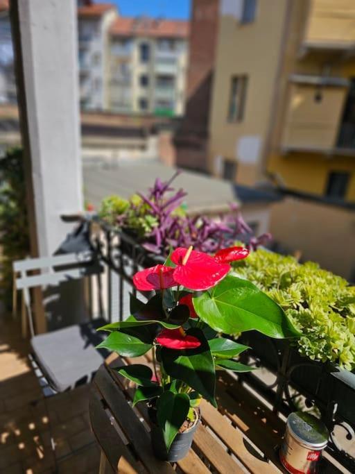 Apartamento Loft In Centro Mole Antonelliana *